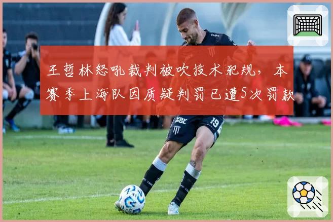王哲林怒吼裁判被吹技术犯规，本赛季上海队因质疑判罚已遭5次罚款总额超20万