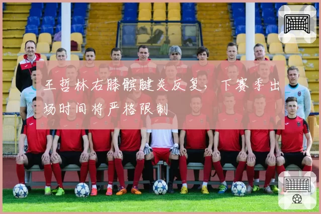 王哲林右膝髌腱炎反复，下赛季出场时间将严格限制