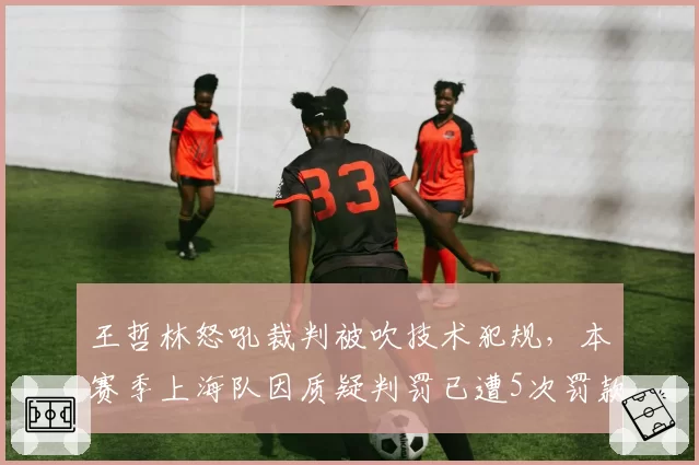 王哲林怒吼裁判被吹技术犯规，本赛季上海队因质疑判罚已遭5次罚款总额超20万
