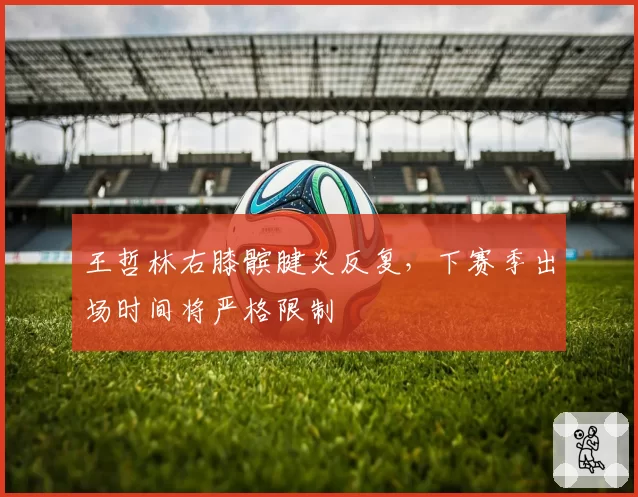 王哲林右膝髌腱炎反复，下赛季出场时间将严格限制