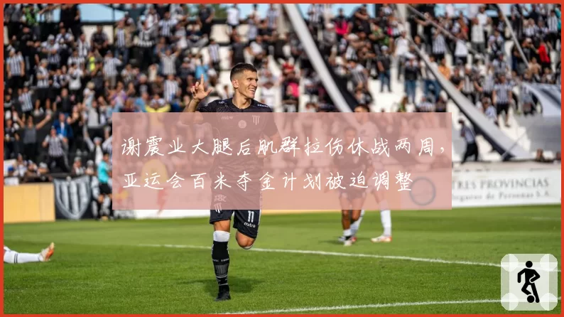谢震业大腿后肌群拉伤休战两周，亚运会百米夺金计划被迫调整
